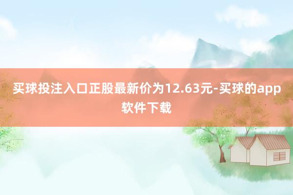 买球投注入口正股最新价为12.63元-买球的app软件下载