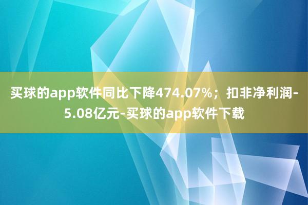 买球的app软件同比下降474.07%；扣非净利润-5.08亿元-买球的app软件下载