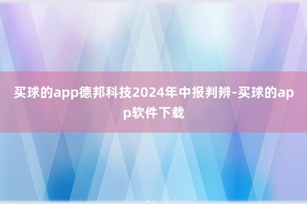 买球的app德邦科技2024年中报判辨-买球的app软件下载