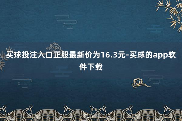 买球投注入口正股最新价为16.3元-买球的app软件下载