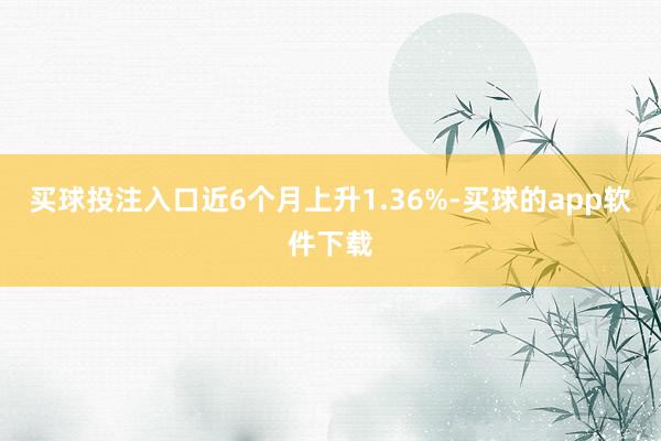 买球投注入口近6个月上升1.36%-买球的app软件下载