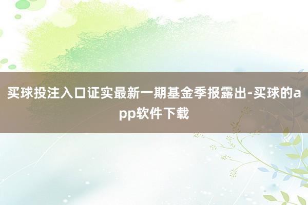 买球投注入口证实最新一期基金季报露出-买球的app软件下载