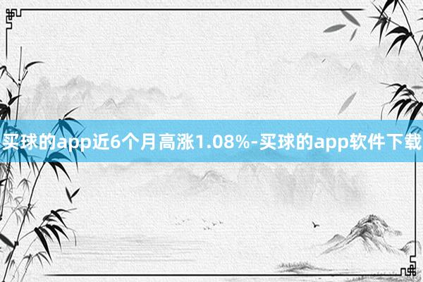 买球的app近6个月高涨1.08%-买球的app软件下载