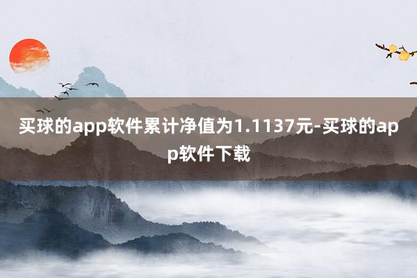 买球的app软件累计净值为1.1137元-买球的app软件下载