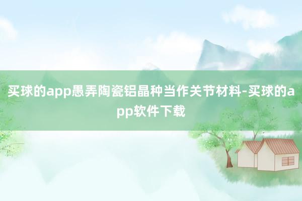 买球的app愚弄陶瓷铝晶种当作关节材料-买球的app软件下载