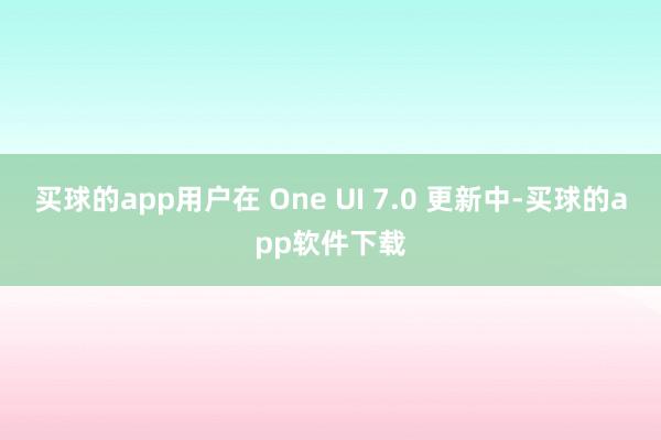 买球的app用户在 One UI 7.0 更新中-买球的app软件下载