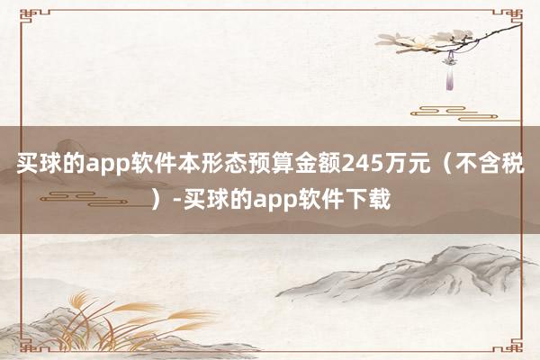 买球的app软件本形态预算金额245万元（不含税）-买球的app软件下载