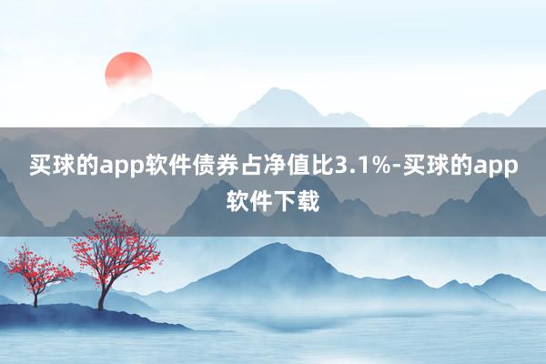 买球的app软件债券占净值比3.1%-买球的app软件下载
