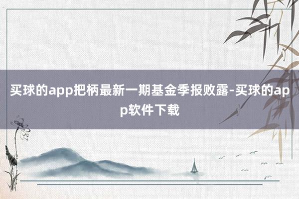 买球的app把柄最新一期基金季报败露-买球的app软件下载