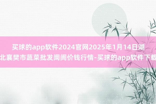 买球的app软件2024官网2025年1月14日湖北襄樊市蔬菜批发阛阓价钱行情-买球的app软件下载