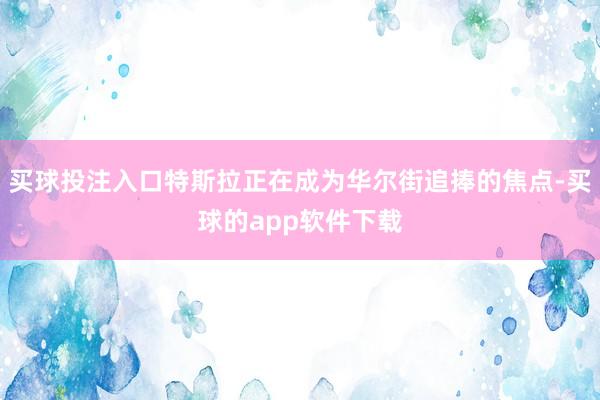 买球投注入口特斯拉正在成为华尔街追捧的焦点-买球的app软件下载