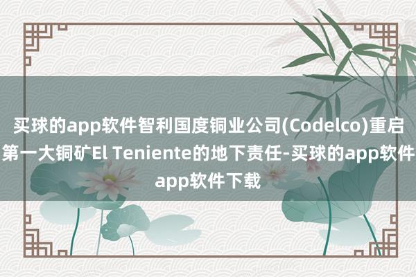 买球的app软件智利国度铜业公司(Codelco)重启智利第一大铜矿El Teniente的地下责任-买球的app软件下载