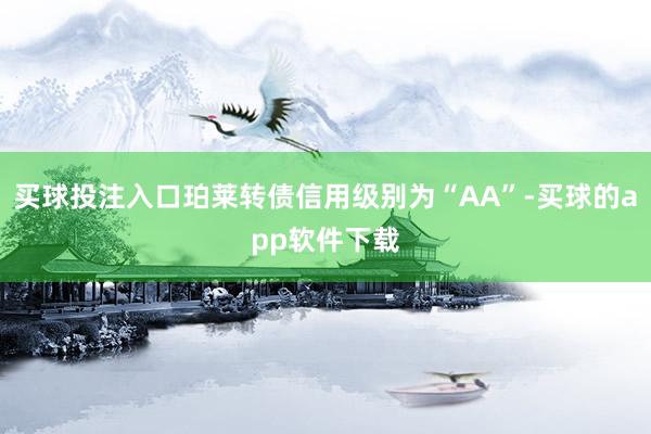 买球投注入口珀莱转债信用级别为“AA”-买球的app软件下载